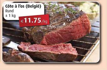 Aronde Cote A L'os Rund aanbieding