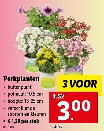Perkplanten
