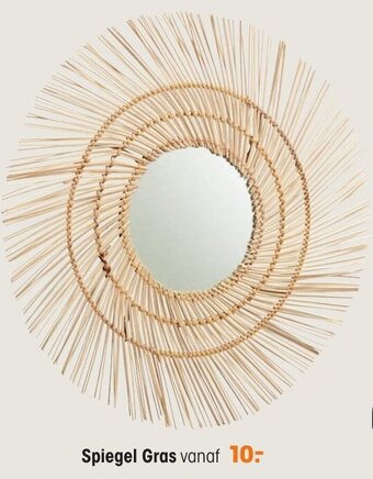 Kwantum Spiegel Gras aanbieding