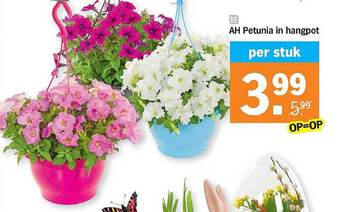 Albert Heijn Ah Petunia In Hangpot aanbieding