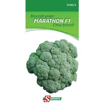 Brico Somers zaad pakket broccoli groen ’Marathon F1’ aanbieding