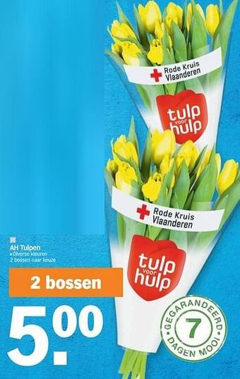 Albert Heijn Ah tulpen aanbieding