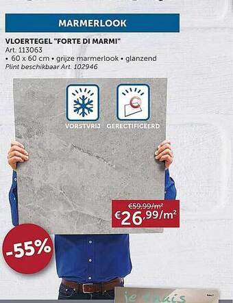 Zelfbouwmarkt Vloertegel aanbieding