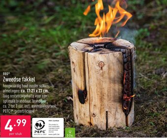 ALDI BBQ Zweedse fakkel aanbieding