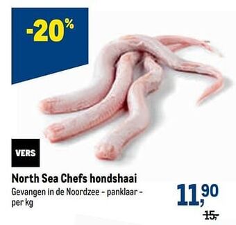 North sea chefs hondshaai