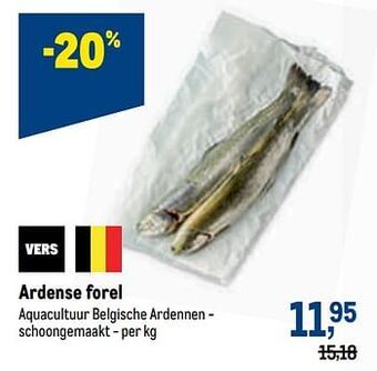 Makro Ardense forel aanbieding