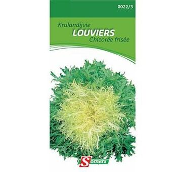 Brico Somers zaad pakket krulandijvie ’Louviers’ aanbieding