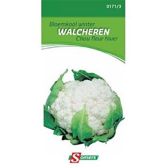 Brico Somers zaad pakket bloemkool winter ’Walcheren’ aanbieding