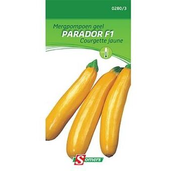 Brico Somers zaad pakket mergpompoen geel ’Parador F1’ aanbieding