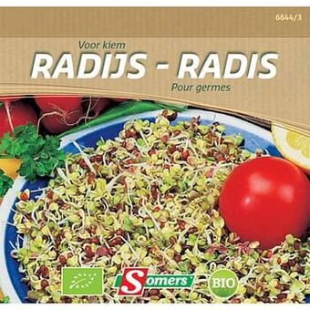 Brico Somers radijs voor kiem aanbieding
