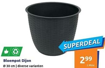 Action Bloempot dijon aanbieding