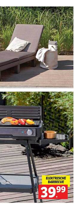 Lidl Elektrische Barbecue aanbieding