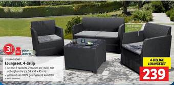 Loungeset, 4 Delig