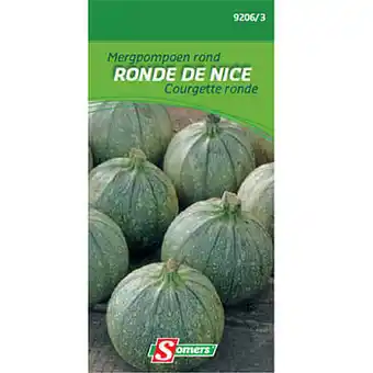 Brico Somers zaad pakket mergpompoen rond ’Nice’ aanbieding