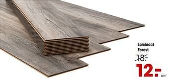 Kwantum Laminaat forest aanbieding