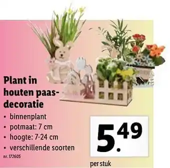 Lidl Plant in houten paasdecoratie aanbieding