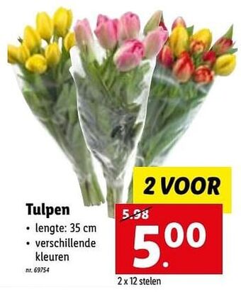 Lidl Tulpen aanbieding