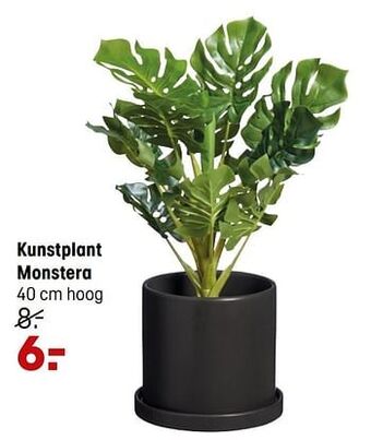 Kwantum Kunstplant monstera aanbieding