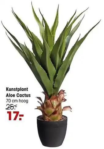 Kwantum Kunstplant aloe cactus aanbieding