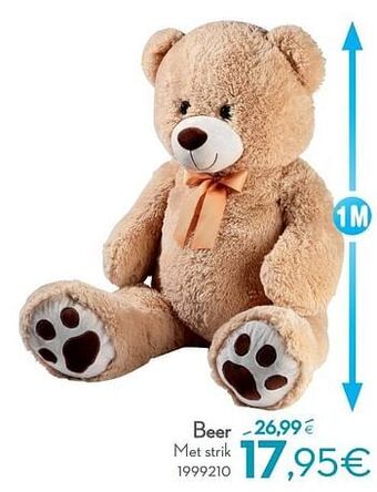 Cora Beer aanbieding