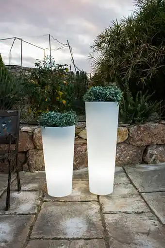 Brico NewGarden verlichte bloembak Ficus 80 wit licht aanbieding