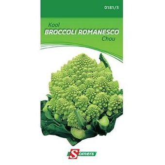 Brico Somers zaad pakket kool ’Broccoli romanesco’ aanbieding