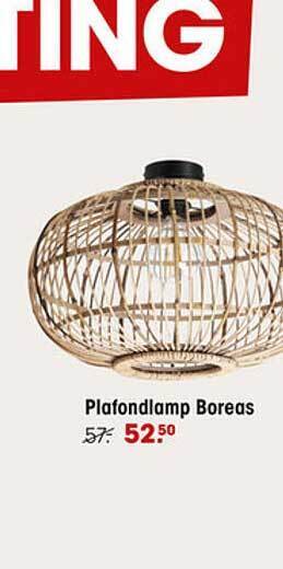 Kwantum Plafondlamp Boreas aanbieding