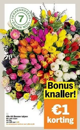 Albert Heijn Gele tulpen aanbieding