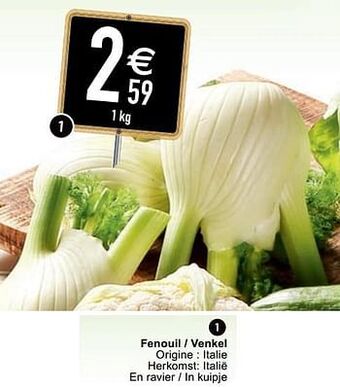 Cora Fenouil - venkel aanbieding