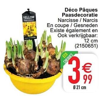 Cora Déco pâques paasdecoratie aanbieding
