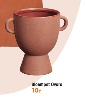 Kwantum Bloempot ovaro aanbieding