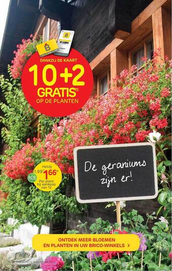 Brico Planten aanbieding