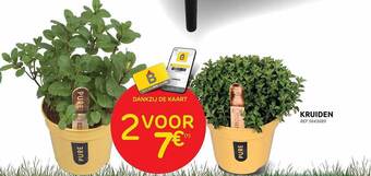 Brico Kruiden aanbieding