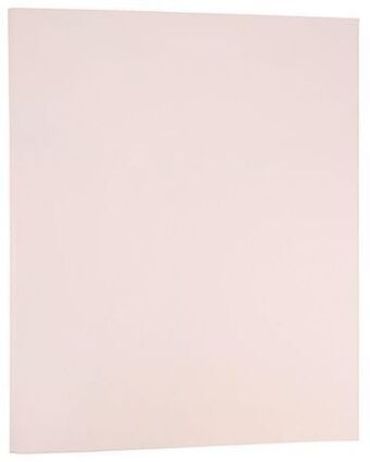 HEMA HEMA Ringband 2-rings aanbieding