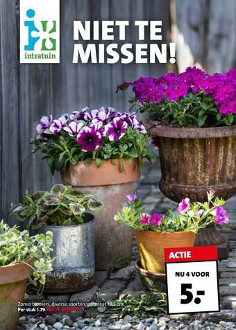 Intratuin ZOmerbloeiers, diverse soorten, potmaat 10,5 cm aanbieding