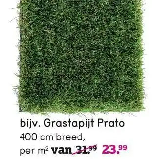 Leen Bakker Grastapijt prato aanbieding