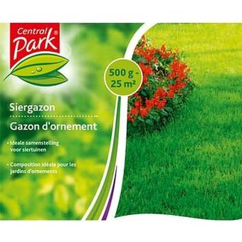 Brico Central Park siergazon 500 gr aanbieding