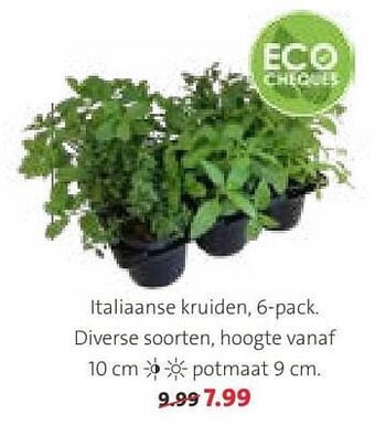Intratuin Italiaanse kruiden aanbieding