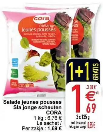 Cora Salade jeunes pousses sla jonge scheuten cora aanbieding