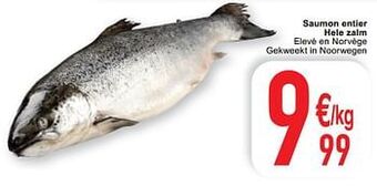 Cora Saumon entier hele zalm aanbieding