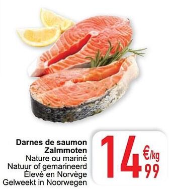 Cora Darnes de saumon zalmmoten aanbieding