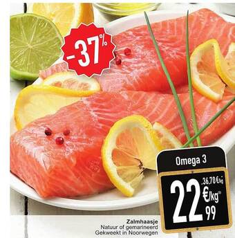 Cora Zalmhaasje aanbieding