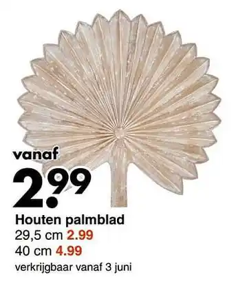 Wibra Houten palmblad aanbieding