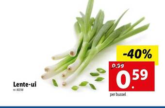 Lidl Lente Ui aanbieding