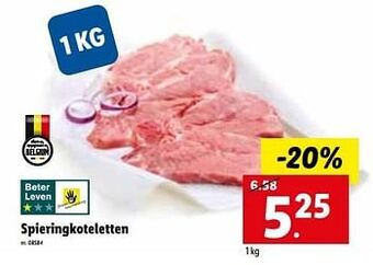 Spieringkoteletten