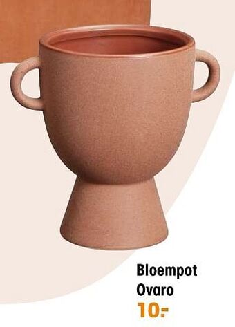 Kwantum Bloempot ovaro aanbieding