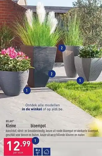 ALDI Kleine bloempot aanbieding