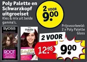 Poly palette gloss