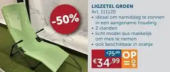 Zelfbouwmarkt Ligzetel groen aanbieding