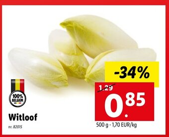 Lidl Witloof 500g aanbieding